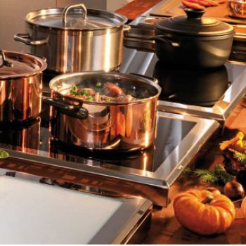 Как выбрать идеальную профессиональную плиту